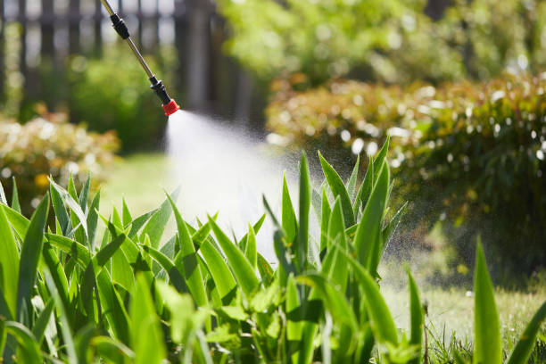 24/7 Emergency Wasp Removal experts in Cottonport, LA
