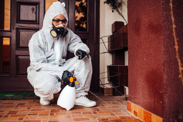 Reliable Wasp Removal contractor in Cottonport, LA by Show Me Pest Control
